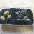 반도정식당 이미지