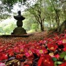 강진 바스락길 이미지