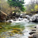 신비펜션1