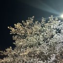 투다리덕례점 네이버블로그