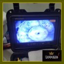 덕풍1동 행정복지센터 화장실(1층) | 화장실 하수구 막힘, 석회로 막힌 P트랩 구조 배관청소 시공 사례 후기