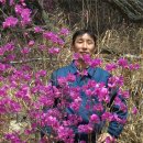산책길-1 Daum카페