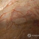 3만7천년 전 동물그림 쇼베 동굴벽화(Chauvet cave mural) 이미지