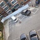 대진스크린골프 이미지