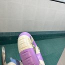 스테이결 이미지