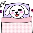 박여진애견미용실 이미지