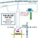 태국 수완나품공항지도 이미지