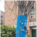 노인복지관 게이트볼장 이미지