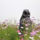 아구대통령 이미지