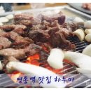 하누미 이미지