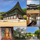 (주)대웅 파나시아점 | 미리 방문한 부처님오신날 부산 사찰 여행 숨은 명소 백양산 운수사