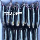 중원상회프레시