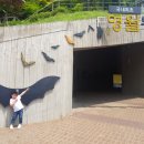 산과숲 이미지