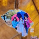 11월5일(일) 일산 기차길공원 단풍길 걷기 이미지