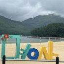 신진미헤어테라피