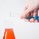 행정사 사무소 혜윰 이미지