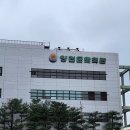 공주-26 | 26개월 아기 디즈니 프린세스 오리지널 스토리북 백설공주+ "백설공주 뮤지컬" 무서워서 관람 포기한 후기😭