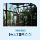 하늘숲초등학교 | 숲속에 머물다, 제주 독채 숙소 여여 추천 솔직 후기
