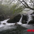 한라산 플러스 이미지