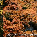 현보석 - 사상구 백양대로 758 | 현보석