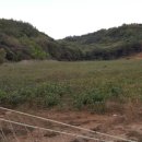 송곡농장 이미지