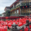 대만 여행ㅣ대만 택시투어 <예. 스. 폭. 지> 마이리얼트립 투어 일정, 예약, 가격, 이용 후기