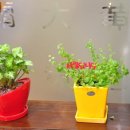 실로암한의원 이미지