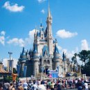 마이뷰티독 킨텍스점 | 올랜도 디즈니월드 티켓 라이트닝 레인 멀티 싱글 패스 디즈니월드티켓 구매 방법