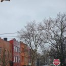 주식회사 우리홀푸드마트 | [NY] 뉴욕 여행 1일차 정리:: 브루클린 윌리엄스버그 | 홀푸드마켓 | NBA 브루클린네츠 경기 직관