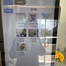 광산-첨단-광산-26 | 광주무인꽃집 어버이날 꽃바구니 추천 첨단 꽃집 어프로치플라워