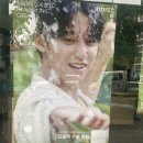 오씨드 이미지