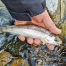 여울 롯지 이미지