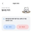 11월 17일 이미지