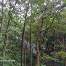 원주굽이길 17코스 동화마을진달래길 이미지