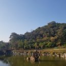 은나와라 뚝딱 이미지