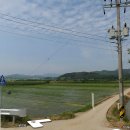 삼승 이미지