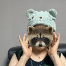 성약국 | 남대문시장 쇼핑 후기｜요즘 핫한 아젤리아크림부터 가방·먹거리까지 직접 사본 것들 내돈내산 후기🛍️