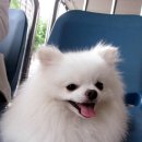 개맑음