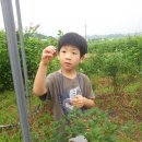 성준농장 | 행복한 반석교육농장 체험교육 6회차