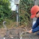 기연농장 이미지