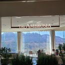 소노펠리체 델피노 이미지