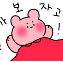 스테이 703 이미지