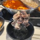 성신양꼬치 - 안양시 동안구 흥안대로493번길 16 | 성신여대훠궈 무한리필, 양꼬치까지 배부르게 즐긴 맛집 후기