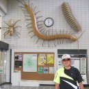 공원관리사무소 이미지