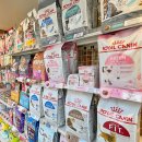 견생냥품 이미지