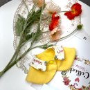 [국비_내일배움카드] 10/5 강아지옷 & 소품제작 | 국비 애견패션) 강아지옷 케이프 직접 만들어 입히기 🐶 관악문화센터 평생교육원