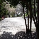 반구대 편백하우스 이미지