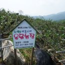 온달농장