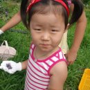 황룡농장 이미지