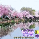 영산 연지못 이미지